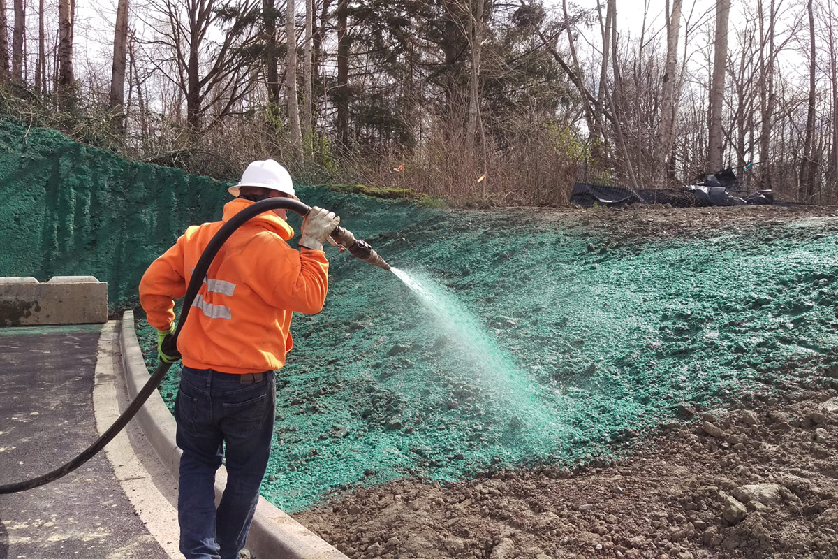 Hydroseeding Bellingham Skagit BAI Environmental